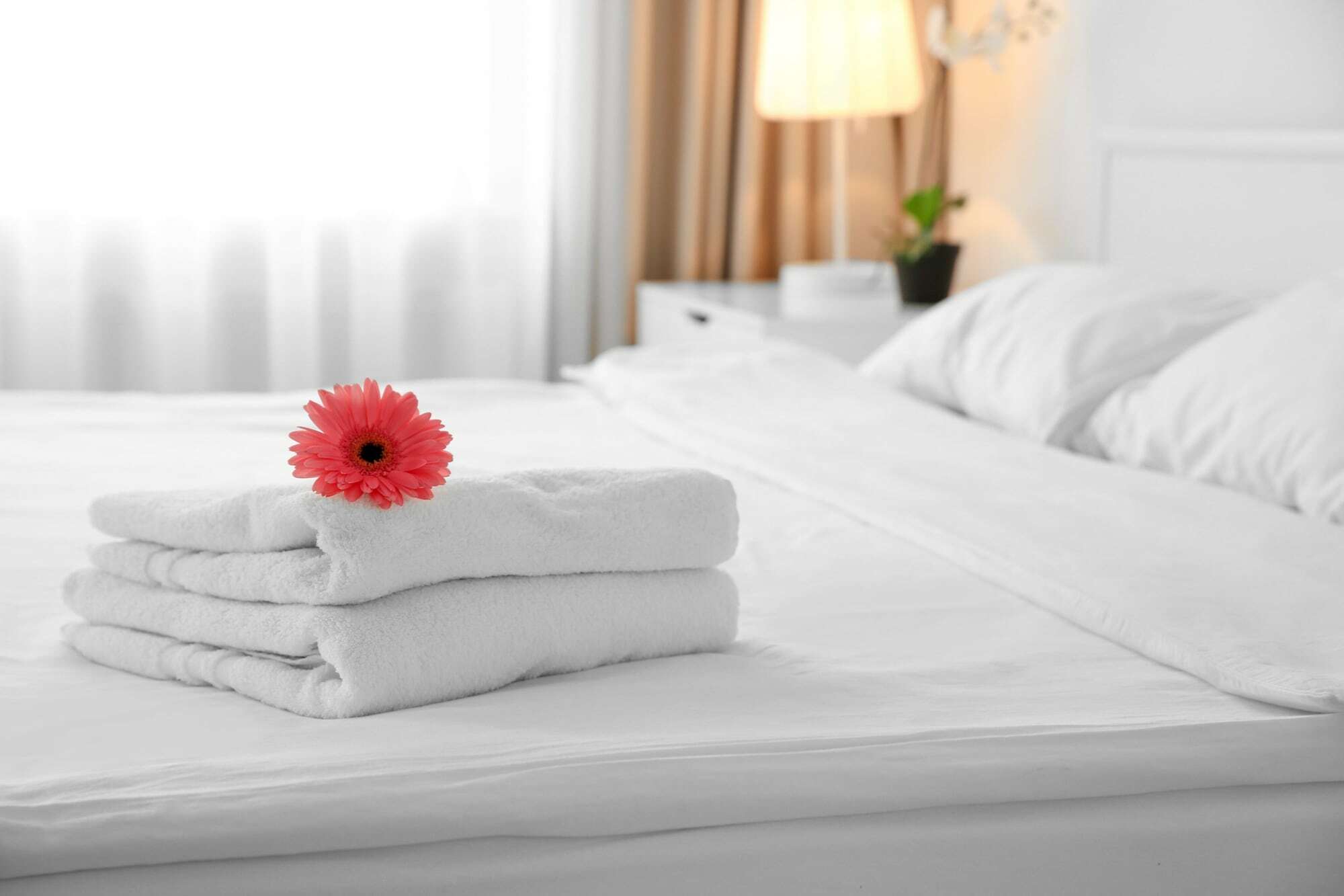 Signature Suites Peterborough Bagian luar foto